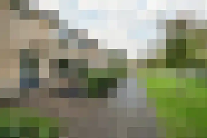 Iepenlaan 10 Heerhugowaard thumbnail 41