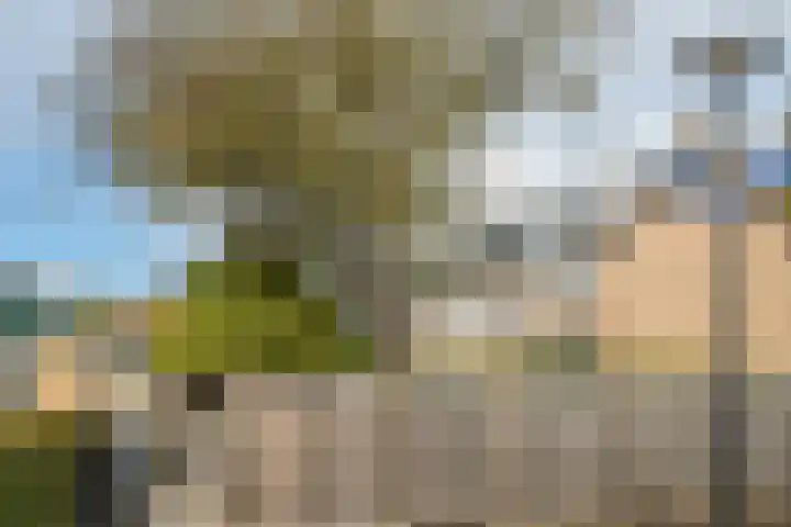 Iepenlaan 10 Heerhugowaard thumbnail 44