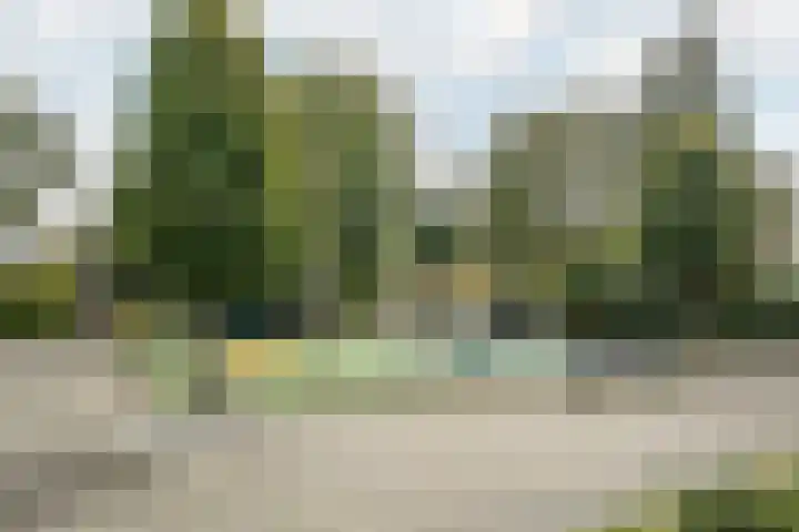 Iepenlaan 10 Heerhugowaard thumbnail 45