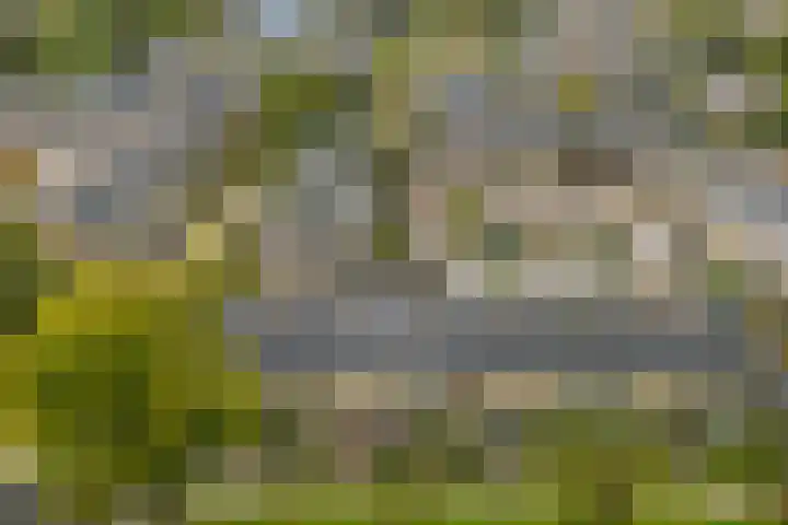 Iepenlaan 10 Heerhugowaard thumbnail 46