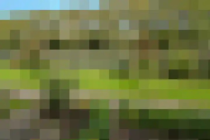 Iepenlaan 10 Heerhugowaard thumbnail 47