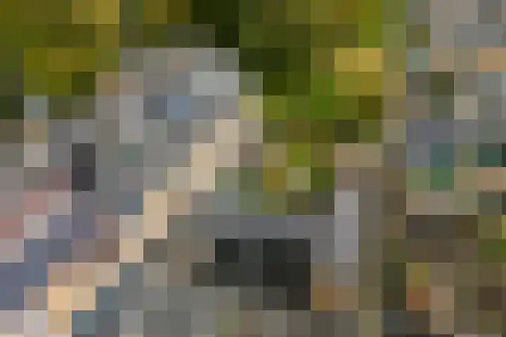 Iepenlaan 10 Heerhugowaard thumbnail 49