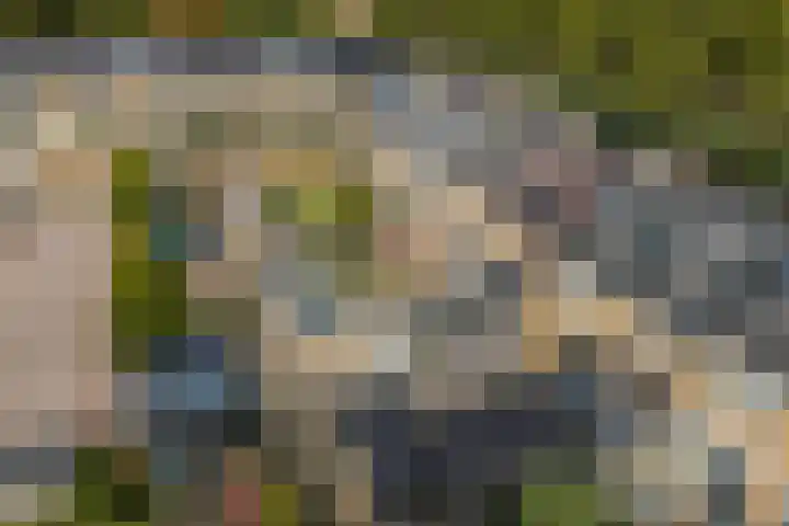Iepenlaan 10 Heerhugowaard thumbnail 51