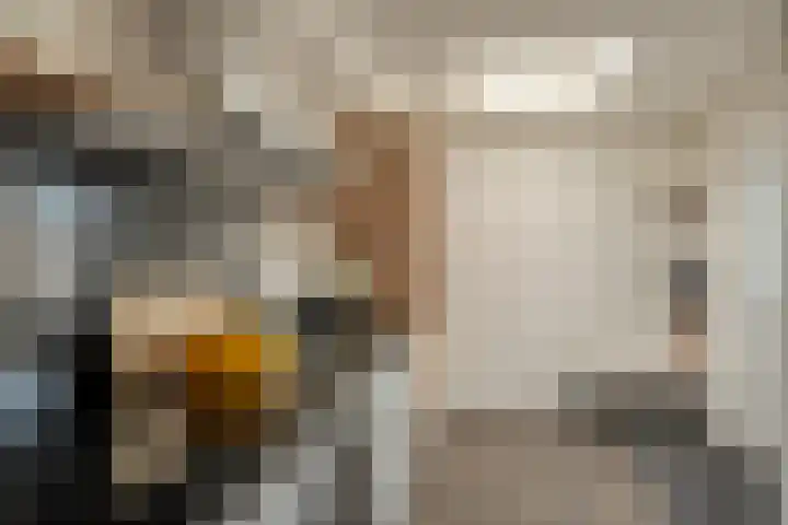 Iepenlaan 10 Heerhugowaard thumbnail 6