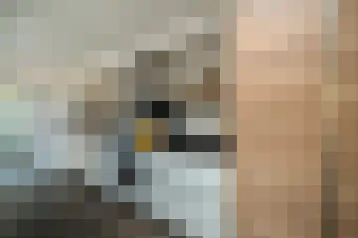 Iepenlaan 10 Heerhugowaard thumbnail 7