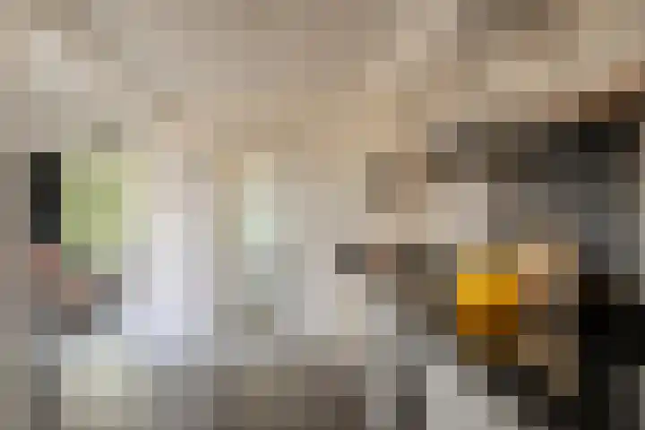 Iepenlaan 10 Heerhugowaard thumbnail 8