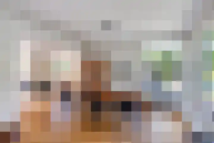Iepenlaan 10 Rosmalen thumbnail 13