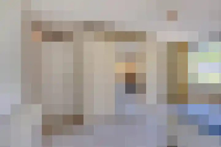 Iepenlaan 10 Rosmalen thumbnail 20