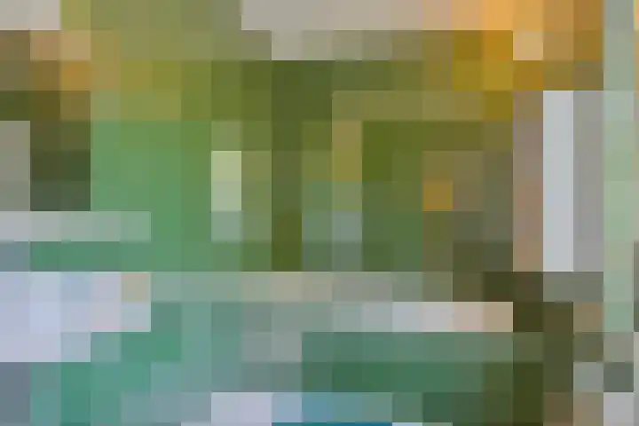 Iepenlaan 10 Rosmalen thumbnail 21