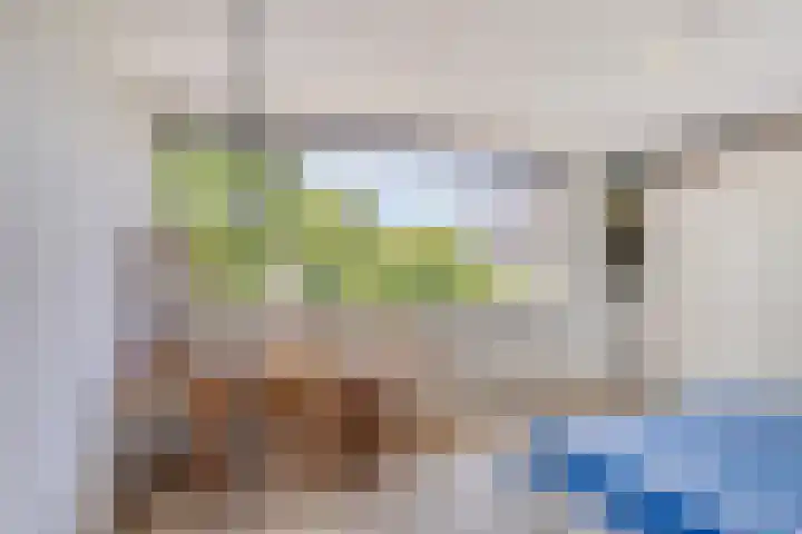 Iepenlaan 10 Rosmalen thumbnail 23