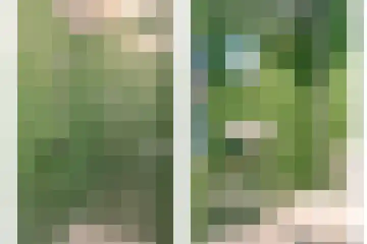 Iepenlaan 10 Rosmalen thumbnail 26