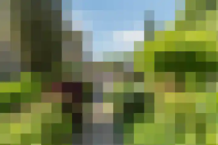 Iepenlaan 10 Rosmalen thumbnail 31