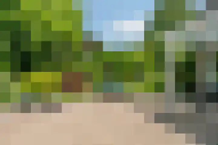 Iepenlaan 10 Rosmalen thumbnail 32