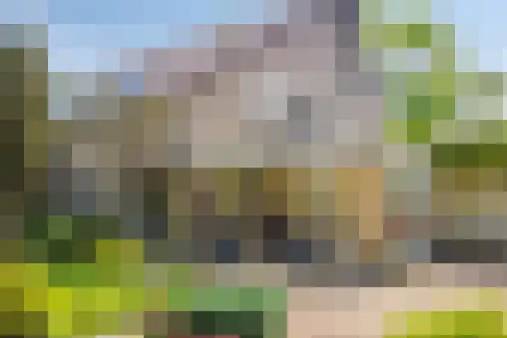 Iepenlaan 10 Rosmalen thumbnail 33
