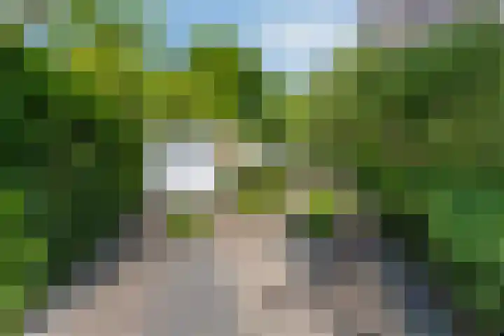 Iepenlaan 10 Rosmalen thumbnail 34