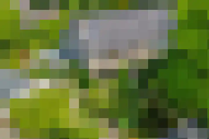 Iepenlaan 10 Rosmalen thumbnail 36