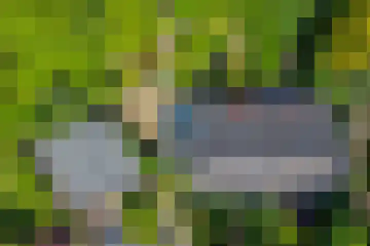 Iepenlaan 10 Rosmalen thumbnail 37