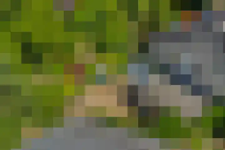 Iepenlaan 10 Rosmalen thumbnail 38