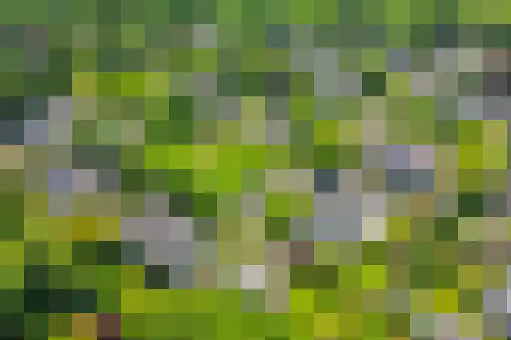 Iepenlaan 10 Rosmalen thumbnail 39