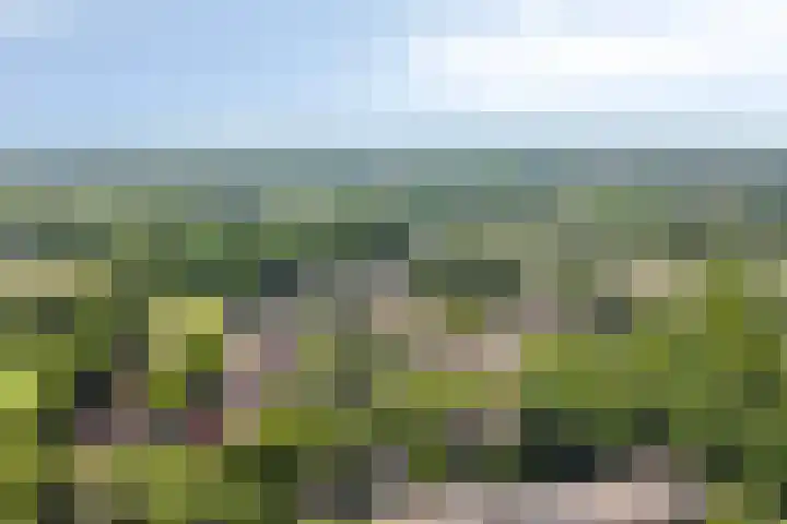 Iepenlaan 10 Rosmalen thumbnail 41