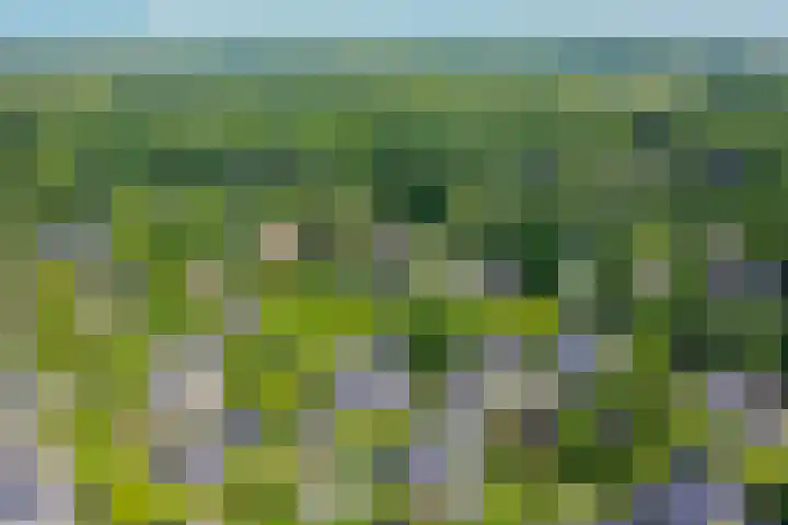 Iepenlaan 10 Rosmalen thumbnail 43