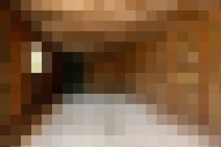 Iepenlaan 10 Sneek thumbnail 15