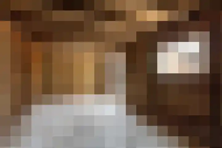 Iepenlaan 10 Sneek thumbnail 16