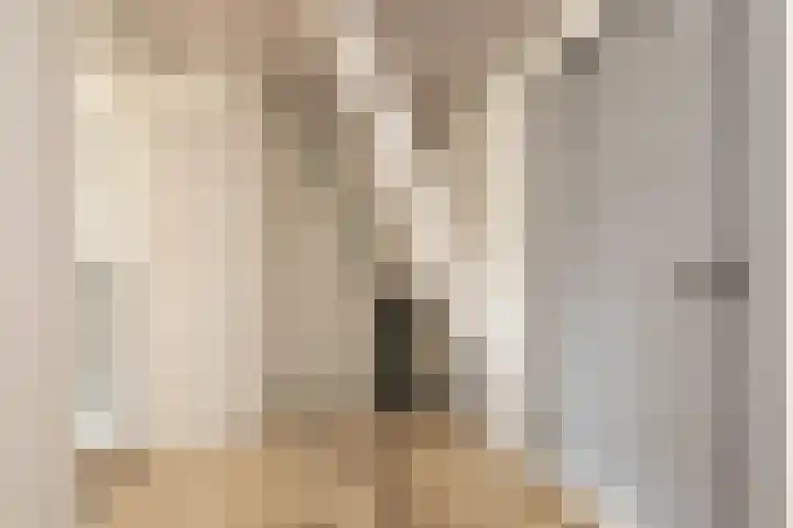 Iepenlaan 10 Sneek thumbnail 18