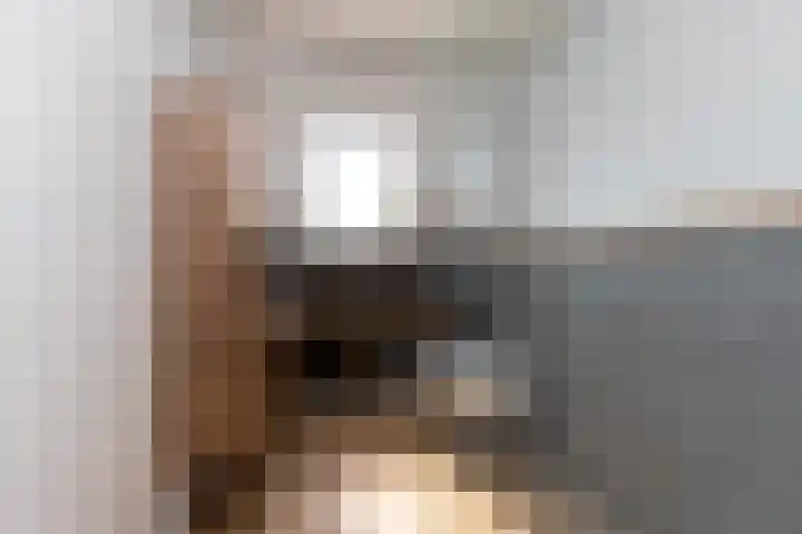 Iepenlaan 10 Sneek thumbnail 22