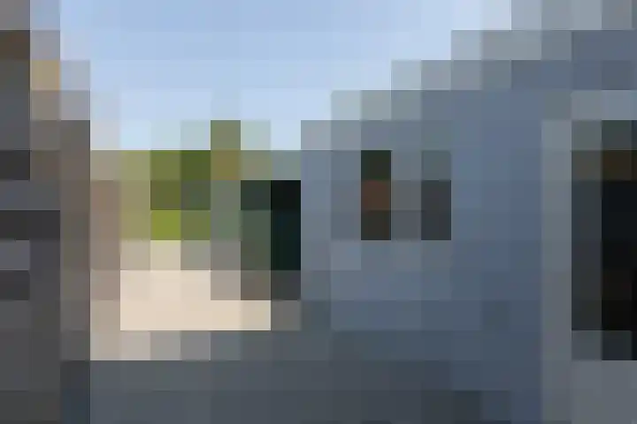 Iepenlaan 10 Sneek thumbnail 29