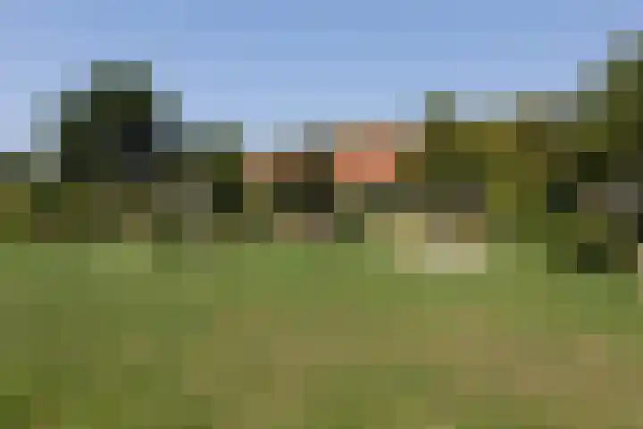 Iepenlaan 10 Sneek thumbnail 33