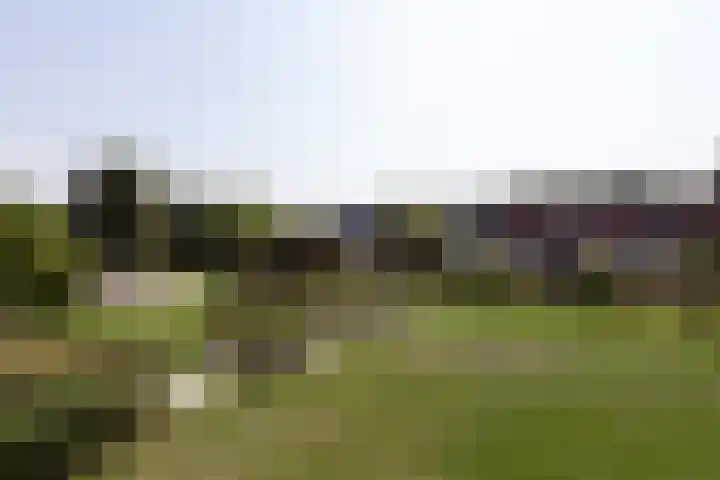 Iepenlaan 10 Sneek thumbnail 34