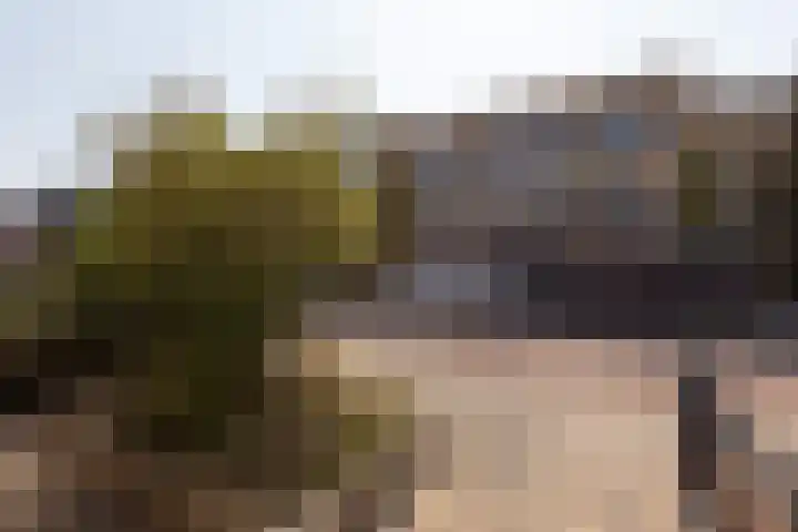 Iepenlaan 10 Sneek thumbnail 37