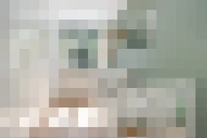Iepenlaan 101 Bussum thumbnail 13