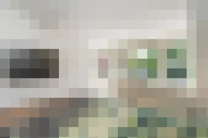 Iepenlaan 101 Bussum thumbnail 16