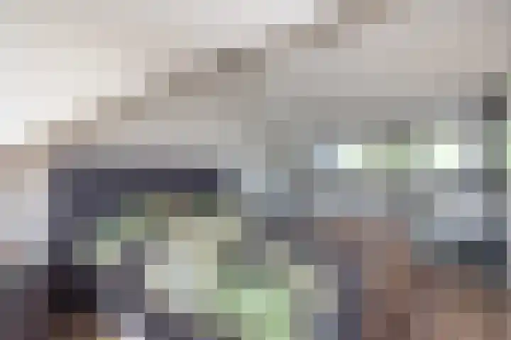 Iepenlaan 101 Bussum thumbnail 17