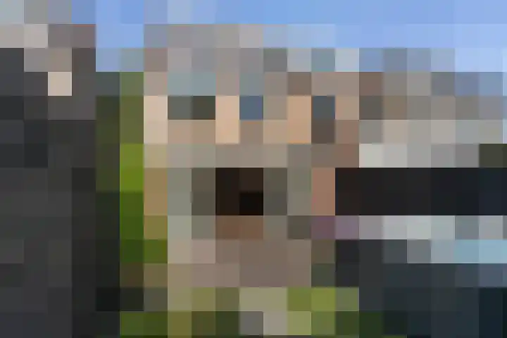 Iepenlaan 101 Bussum thumbnail 20