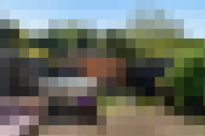 Iepenlaan 101 Bussum thumbnail 22