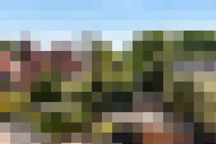Iepenlaan 101 Bussum thumbnail 23