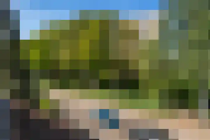 Iepenlaan 101 Bussum thumbnail 24
