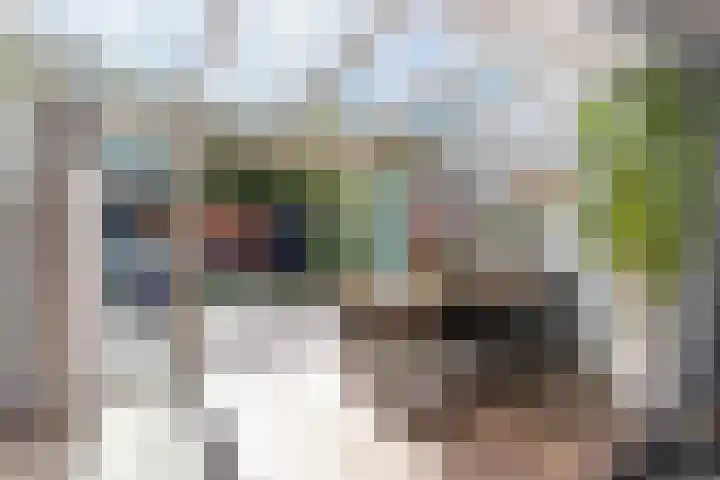 Iepenlaan 101 Bussum thumbnail 5