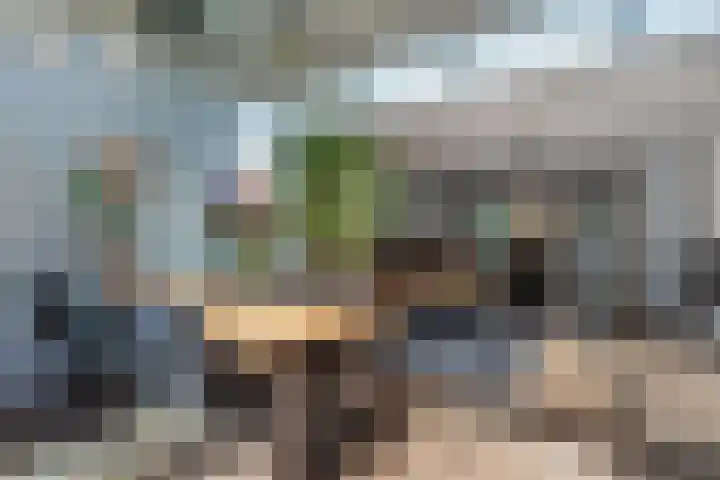 Iepenlaan 101 Bussum thumbnail 6