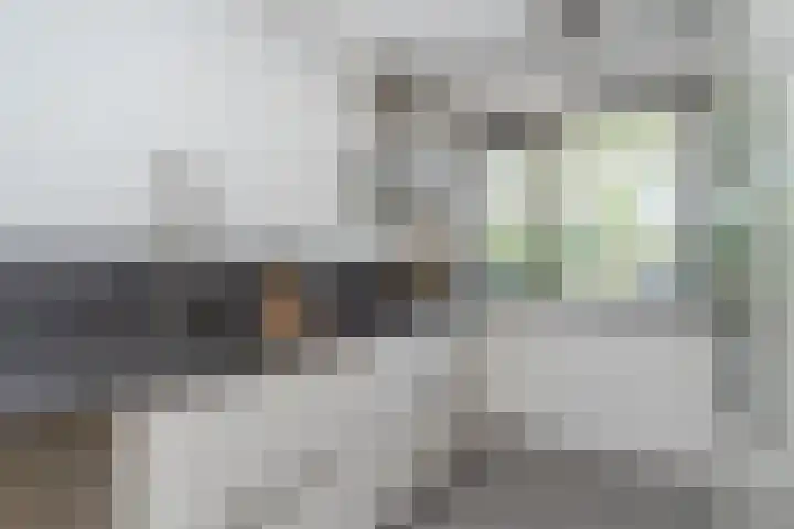 Iepenlaan 101 Bussum thumbnail 9