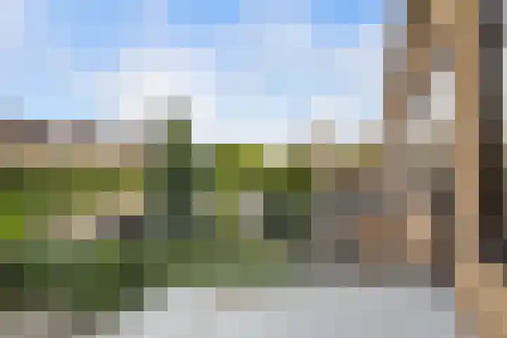 Iepenlaan 104 Dordrecht thumbnail 30