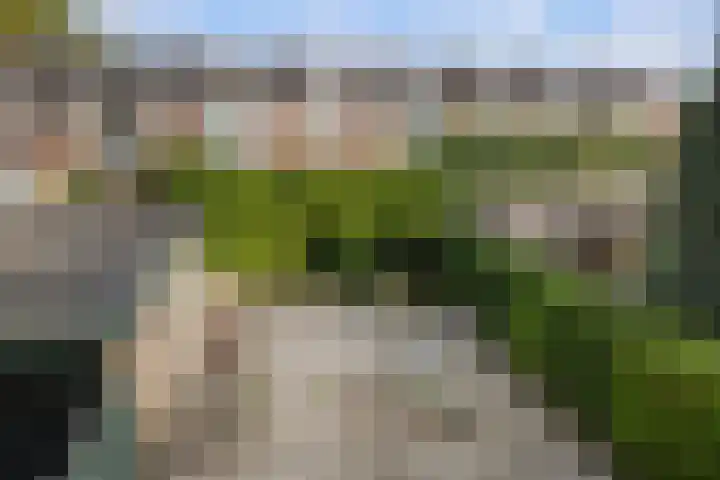 Iepenlaan 104 Dordrecht thumbnail 31
