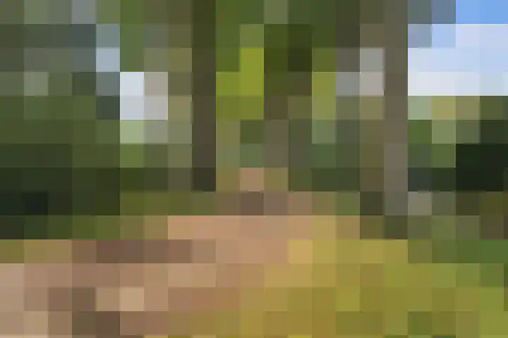 Iepenlaan 104 Dordrecht thumbnail 4
