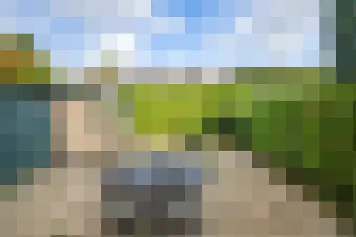 Iepenlaan 104 Dordrecht thumbnail 41