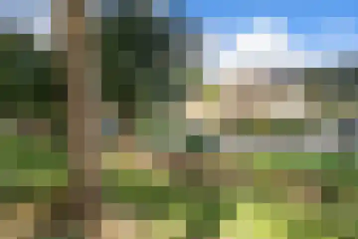 Iepenlaan 104 Dordrecht thumbnail 5