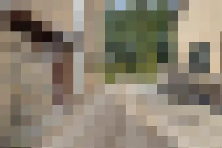 Iepenlaan 104 Dordrecht thumbnail 8