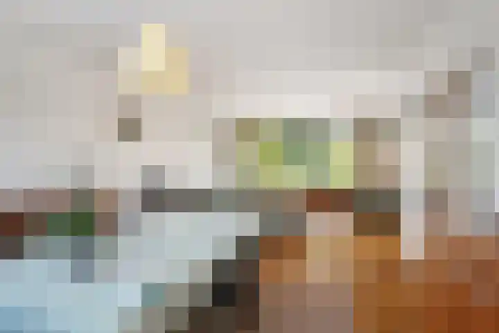 Iepenlaan 104 Dordrecht thumbnail 9
